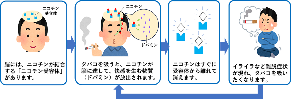 ニコチン依存の仕組み